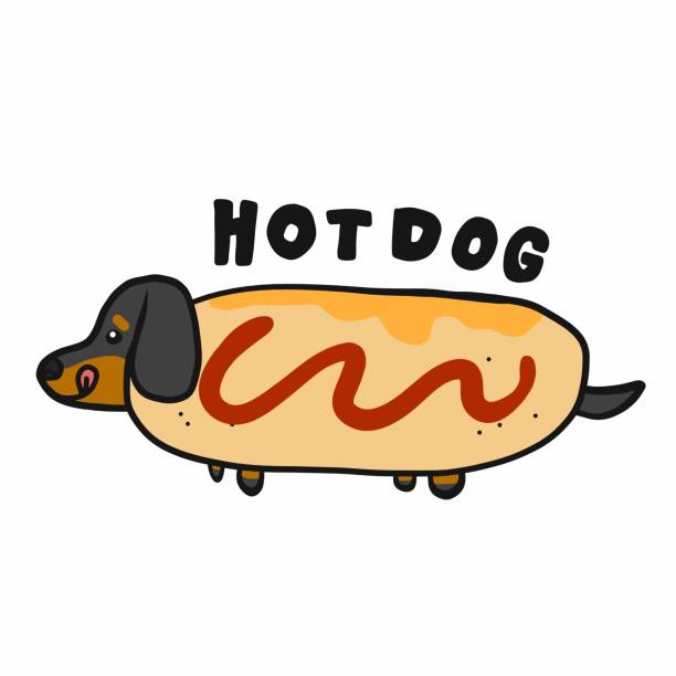 dackel hund in hotdog cartoon logo vektor illustration doodle stil - wearing hot dog costume stock-grafiken, -clipart, -cartoons und -symbole