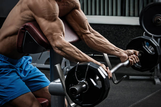 hombre musculoso entrenando sus brazos - muscular build men human muscle body building exercises fotografías e imágenes de stock