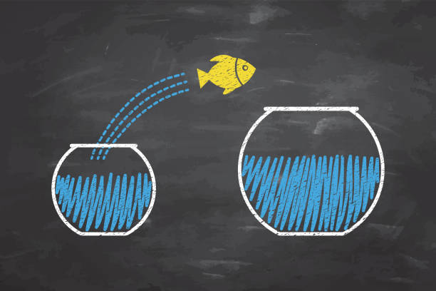 istock Goldfish jumping out of the water on blackboard background 1179461283
