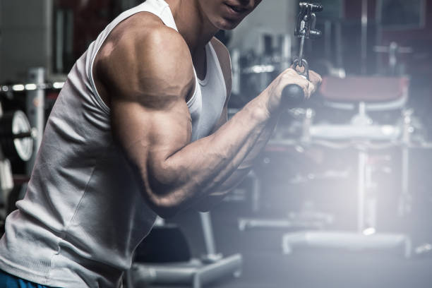 ejercicio para tríceps - muscular build men human muscle body building exercises fotografías e imágenes de stock
