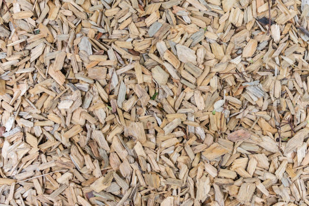 istock Background of wood sawdust 1179462453