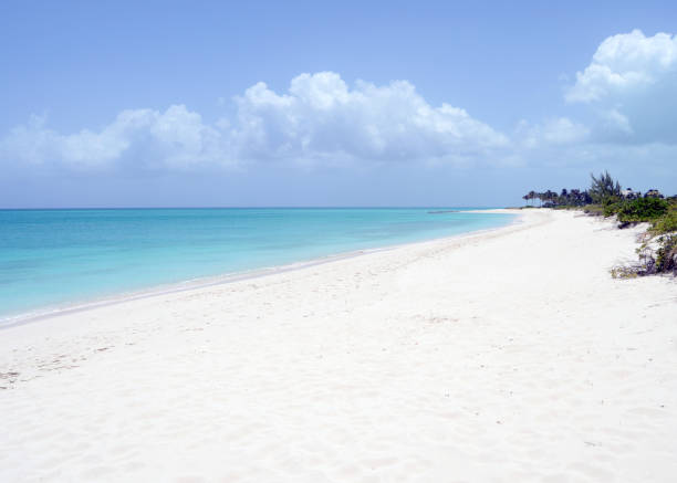 White Sand Beach in the Turks and Caicos Islands Looking out at the white sand beach and Grace Bay in the Turks and Caicos Islands. turks and caicos islands caicos islands bahamas island stock pictures, royalty-free photos & images