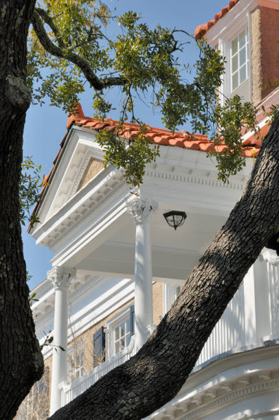 istock Historic Charleston, South Carolina 117947173