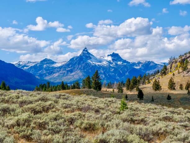 pasmo górskie beartooth - mountain montana mountain peak mountain range zdjęcia i obrazy z banku zdjęć