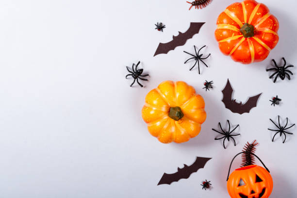 istock Halloween and decoration concept, pumpkin, bat, spiders, flies, centipede on gray background 1179473880
