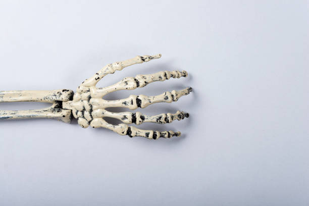 A human replica skeleton with arms raised on a black background. Focus selective on breast.