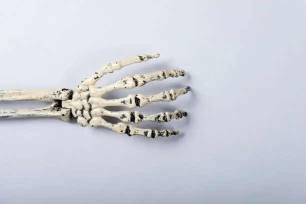 Photo of Halloween and decoration concept, Arm skeleton on gray background