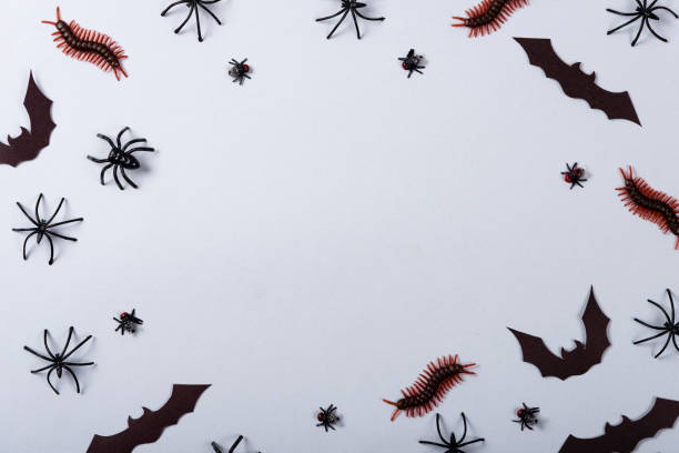 istock Halloween and decoration concept, miscellaneous bats, spiders, centipede and flies on gray background 1179473914