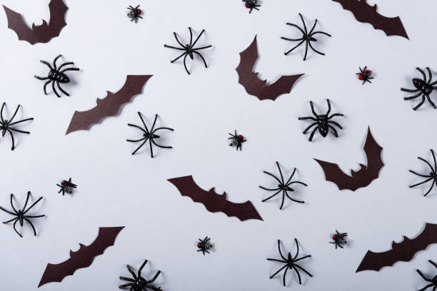 istock Halloween and decoration concept, miscellaneous bats, spiders and flies on gray background 1179473921