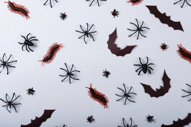 istock Halloween and decoration concept, miscellaneous bats, spiders, centipede and flies on gray background 1179473923