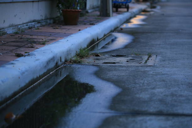 istock poor drainage system left water near catch basin drain inlet on a concrete road. 1179478795