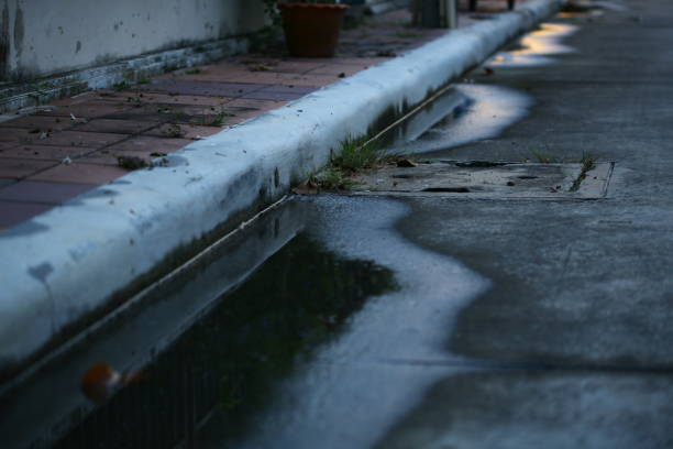 water puddle on the street. poor drainage system left water near catch basin drain inlet on a concrete road. narrow concrete blocks footpath too small for pedestrians