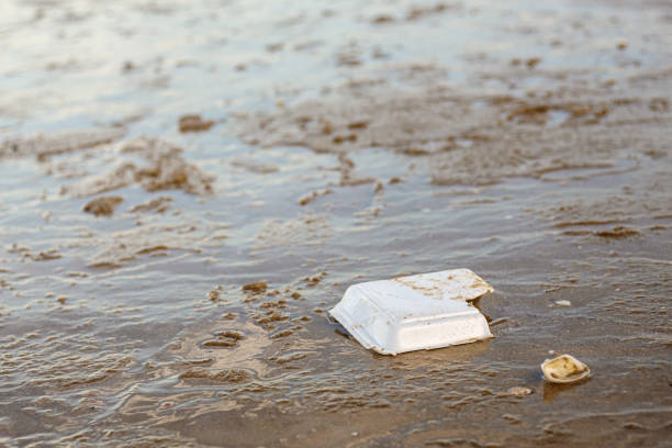 istock Foam box to put food on beach. 1179479213