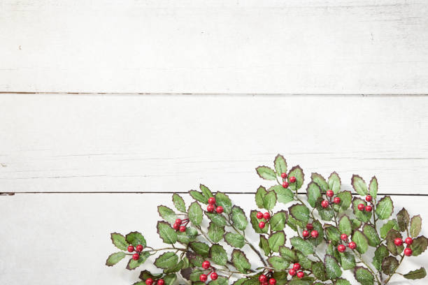 Christmas holly garland frame on an old white wood background