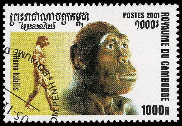 Photo of Evolution of Man Stamp - Homo Habilis