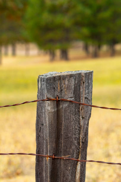 istock vintage fencepost 1179491399