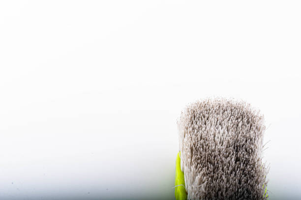 istock Close-up dirty clothes brush 1179491448