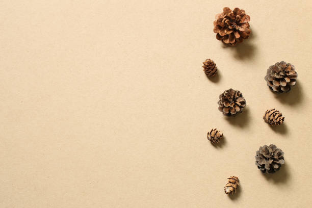 istock Pine cones on brown background. Autumn concept 1179491474