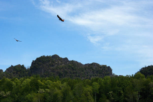 istock Kilim Karst Geoforest Park Langkawi 1179491494
