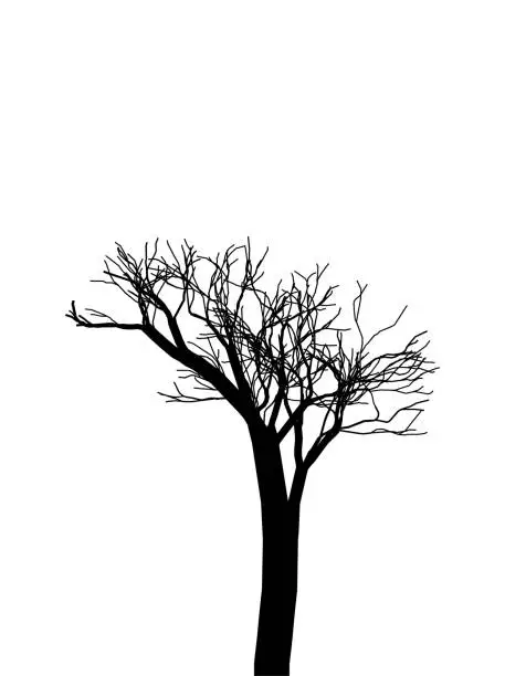 Vector illustration of Tree silhouette in black and white