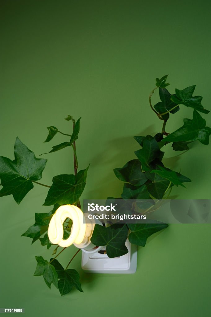 Ivy Ampoule à économie d'énergie - Photo de Ampoule à basse consommation libre de droits