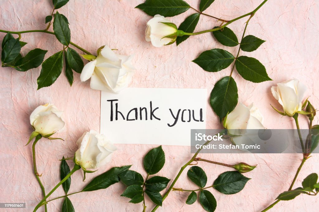 Handwritten Thank you card with flowers Handwritten Thank you card with white rose flowers Label Stock Photo