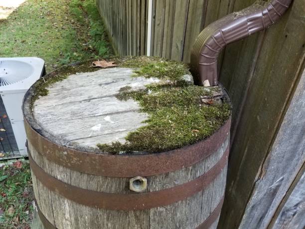 istock gutter downspout with old wooden rain barrel and moss 1179502910