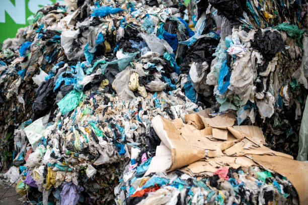 istock Bundled Recyclable Materials at Waste Management Facility 1179506226