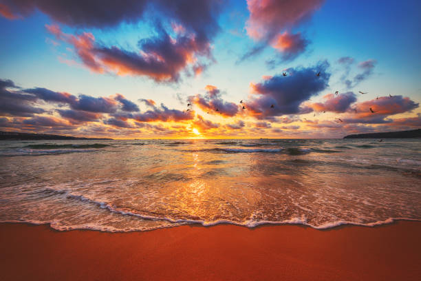 istock Sunrise over tropical beach and calm sea waves 1179508015