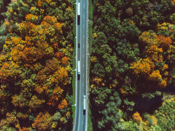 istock aerial view of autumn highway in forest copy space 1179510110