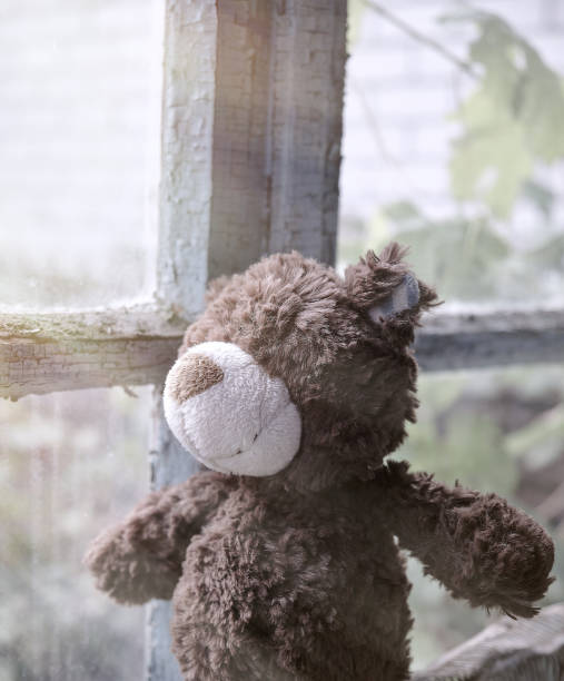 istock brown teddy bear sits on a windowsill and looks out the window 1179511639