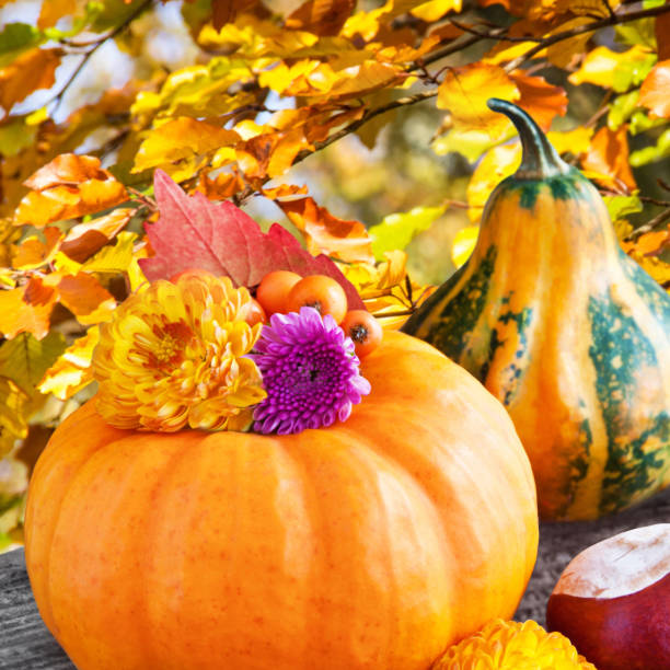 istock Autumn decorations with pumpkins 1179514219