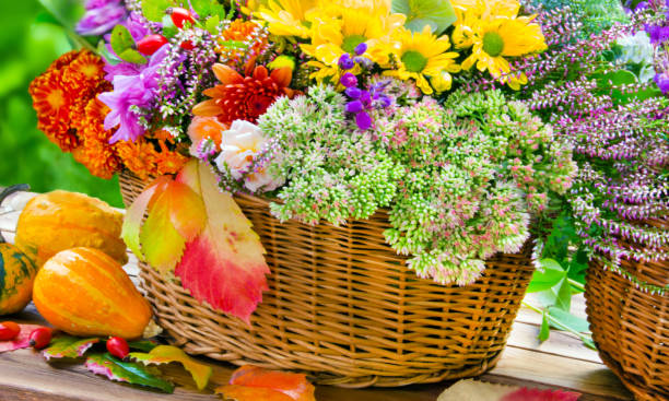 istock Autumn garden decoration with pumpkins 1179514258