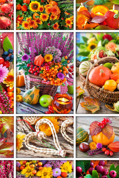 istock Autumn home decorations with pumpkins 1179514998