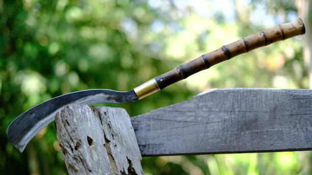 istock Big knife for multipurpose on white background, MEED PRA knife is Thailand ancient 1179515153