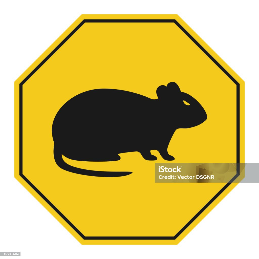 Project Rodent Sign Rat Silhouette In Yellow Octagon Stop Rodents Sign Vector Stock ...