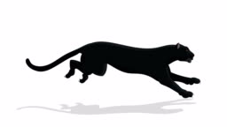 Black Panther Animal Run Cycle Animation Stock Video - Download Video Clip Now - Running, Leopard, Mountain Lion - iStock Black Panther Animal Run Cycle Animation Stock Video - Download Video Clip Now - Running, Leopard, Mountain Lion - iStock