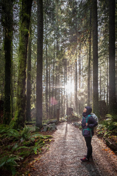 Young Woman Hiker Looking Up at Rain Falling in Forest