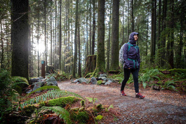 istock Multi-Ethnic Young Woman Hiker Getting Wet in Rainy Westcoast Rainforest 1179516348