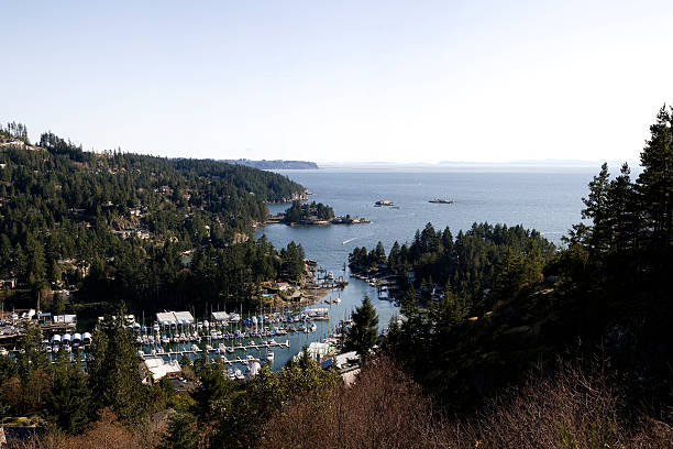 istock Aerial view of Horseshoe Bay 117951701