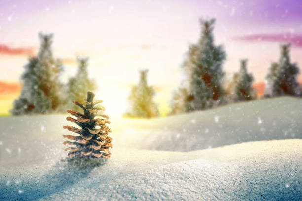 istock Fir trees and pine on the snow 1179519778