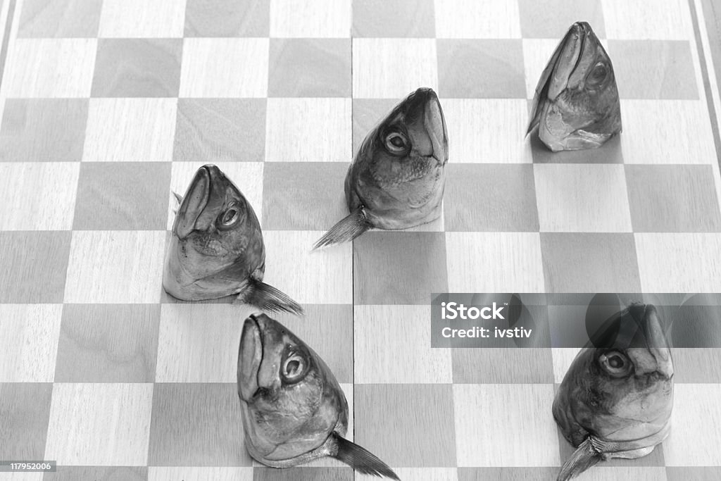 Poisson Jeu d'échecs - Photo de Animal mort libre de droits