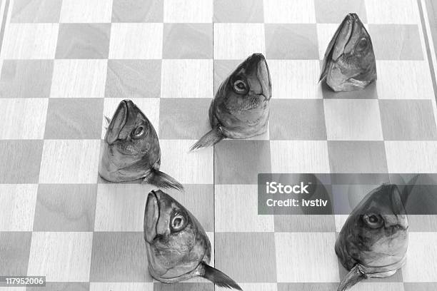 Photo libre de droit de Poisson Jeu Déchecs banque d'images et plus d'images libres de droit de Animal mort - Animal mort, Artisanat, Bizarre