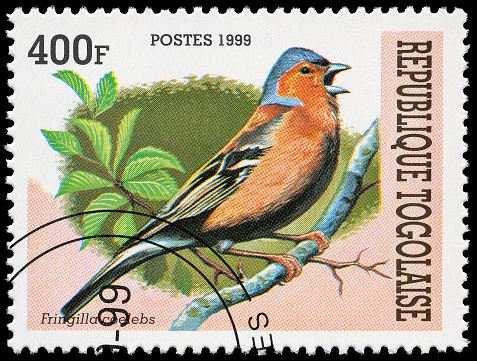 A postage stamp showing two birds designed buy John James Audubon. Printed circa 1950.