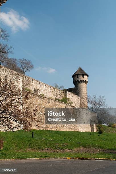 Castello Di Budapest - Fotografie stock e altre immagini di Albero - Albero, Ambientazione esterna, Architettura