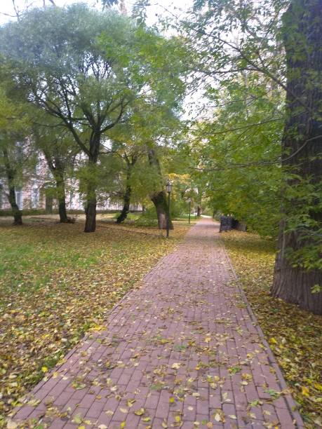 istock Beauty of Vologda 1179529364