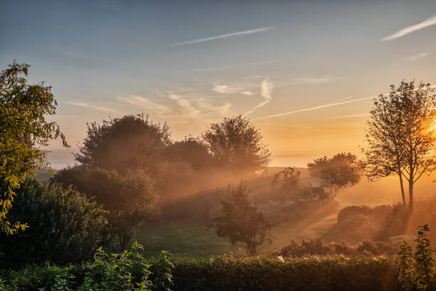 Misty feuchter Morgen im Gendarmstien in Vemmingbund, Dänemark – Foto