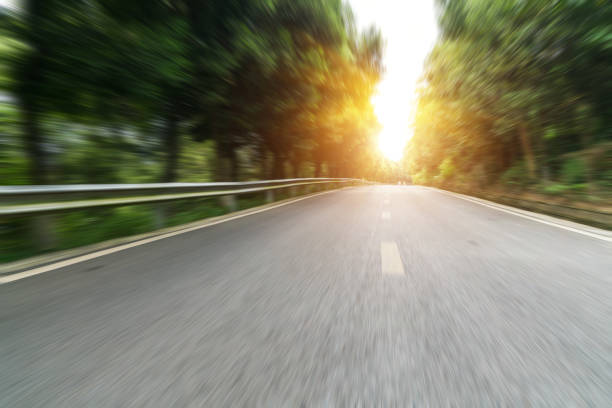 Curved roads in the forest