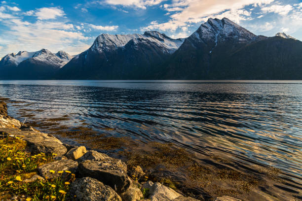 istock landscape inside Hjorundfjorden, Norway 1179532258