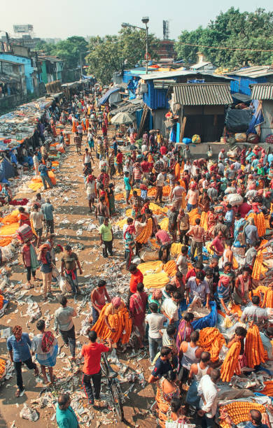 everyday activities at mallick ghat flower market, howrah in morning - vertical lift bridge imagens e fotografias de stock